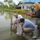 Persiapan Pangan IKN, Dinas Perikanan PPU Bakal Kembangkan Budi Daya Ikan Air Tawar