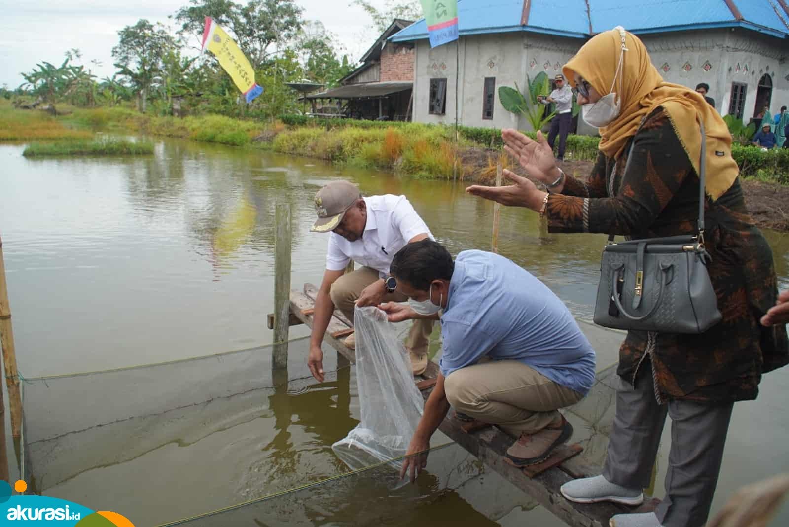 Persiapan Pangan IKN, Dinas Perikanan PPU Bakal Kembangkan Budi Daya Ikan Air Tawar