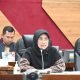 Dukung Pariwisata IKN, Hetifah: SDM dan Aksesibilitas Menjadi Kunci