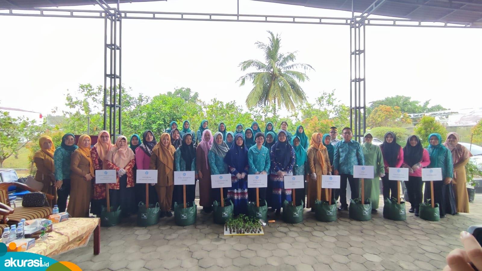Gerakan tanam 200 batang cabai yang dipimpin langsung oleh Ketua TP PPK PPU, Linda Romauli Siregar. (Doc. Humas PPU).