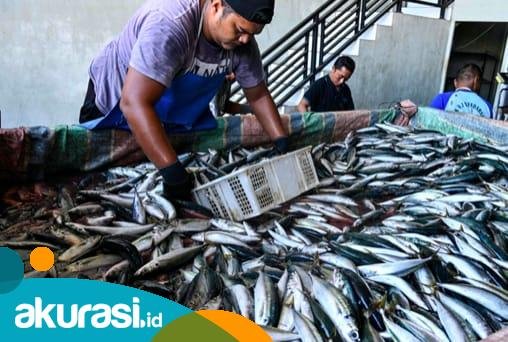 ilustrasi penjual ikan di pasar. Ketua PKK PPU berharap masyarakat lebih rutin konsumsi ikan. (ilustrasi)