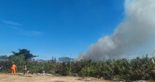 Diduga dari Bakar Sampah, Lahan 1,5 Hektare di Bontang Hangus Terbakar