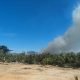 Diduga dari Bakar Sampah, Lahan 1,5 Hektare di Bontang Hangus Terbakar