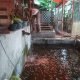 Antisipasi Inflasi, Dinas Perikanan Dorong Masyarakat Manfaatkan Pekarangan Untuk Budi Daya Ikan