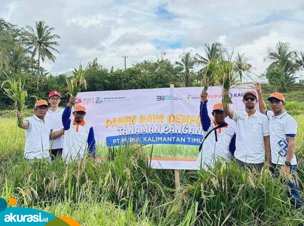 Demplot Pupuk Kaltim Tingkatkan Produksi Padi Bone hingga 100 Persen