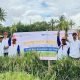 Demplot Pupuk Kaltim Tingkatkan Produksi Padi Bone hingga 100 Persen