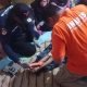 Bocah ditemukan warga tenggelam di Tanjung Laut Indah (Dok. Polres Bontang)