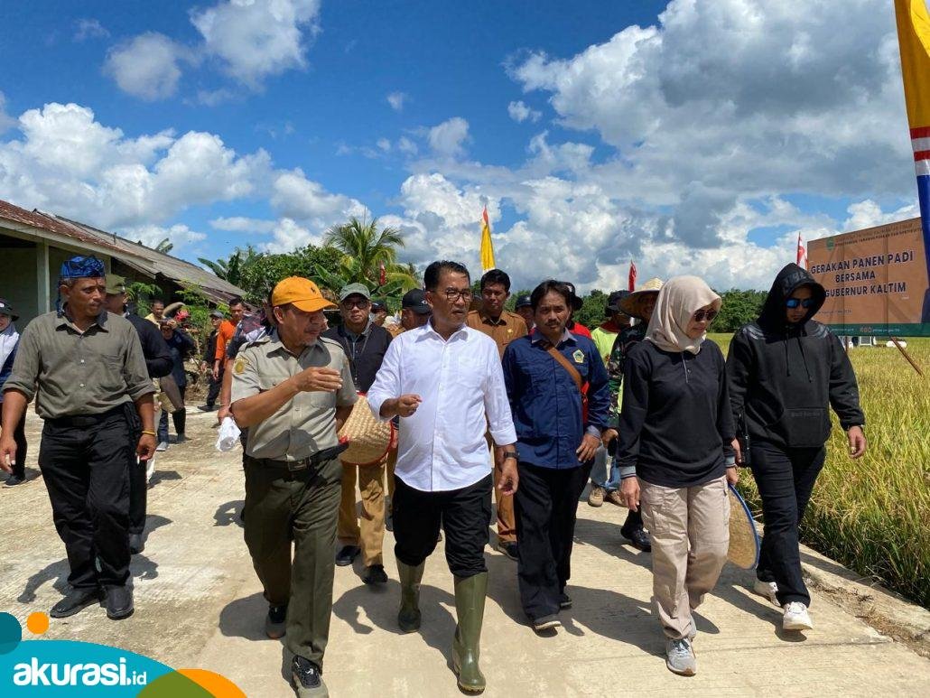 Pj Gubernur Kaltim, Akmal Malik, saat panen raya di Kukar. (Istimewa)