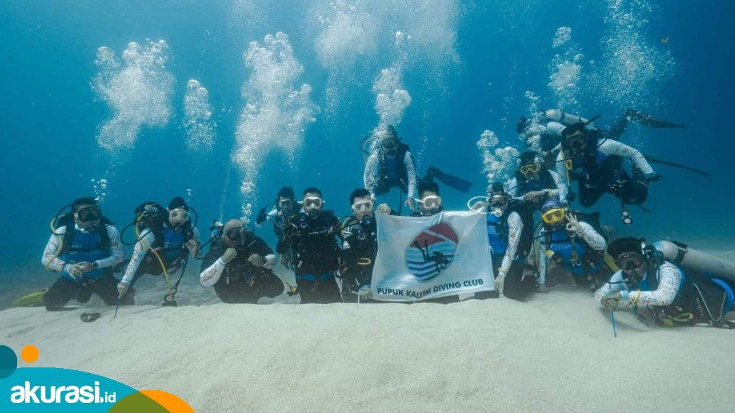 Komitmen Jaga Ekosistem Perairan, Pupuk Kaltim Turunkan Ratusan Media Terumbu dan Tukik di Maratua