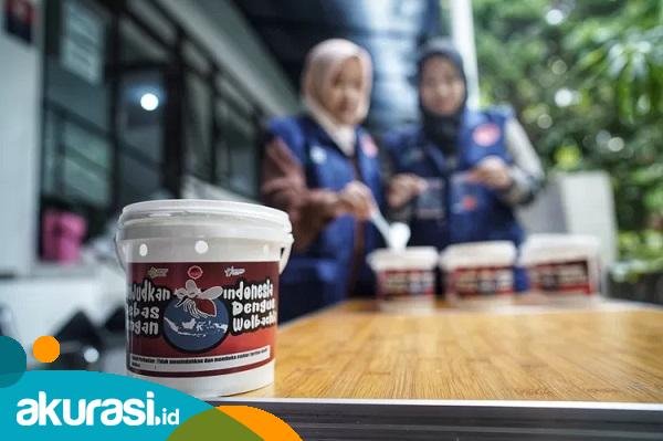 Penyebaran Nyamuk Wolbachia Masih Jauh dari Target, Dinkes Bontang Ungkap Penyebabnya