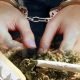 Satresnarkoba Bontang amankan warga Kelurahan Api-Api, Bontang Utara, lantaran menyimpan 16 linting ganja di kamarnya. (ilustrasi)