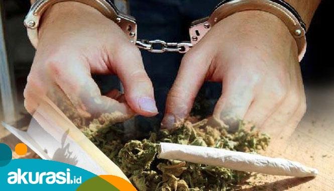 Satresnarkoba Bontang amankan warga Kelurahan Api-Api, Bontang Utara, lantaran menyimpan 16 linting ganja di kamarnya. (ilustrasi)
