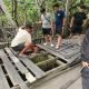 Puluhan pemuda Bontang Kuala bahu membahu memperbaiki lubang yang ada pada trotoar menggunakan dana pribadi. (Dwi kurniawan/akurasi.id)