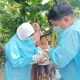 Pengambilan sampel yang dilakukan oleh DKP3 di Jalan Kapal Pinisi 5, Loktuan. Ayam di Bontang mati mendadak, diduga terpapar virus Newcastle Disease. ( Dokumentasi DKP3).