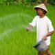 Kepala Dinas Pertanian PPU Tegaskan Tidak Ada Penyalahgunaan Subsidi Pupuk