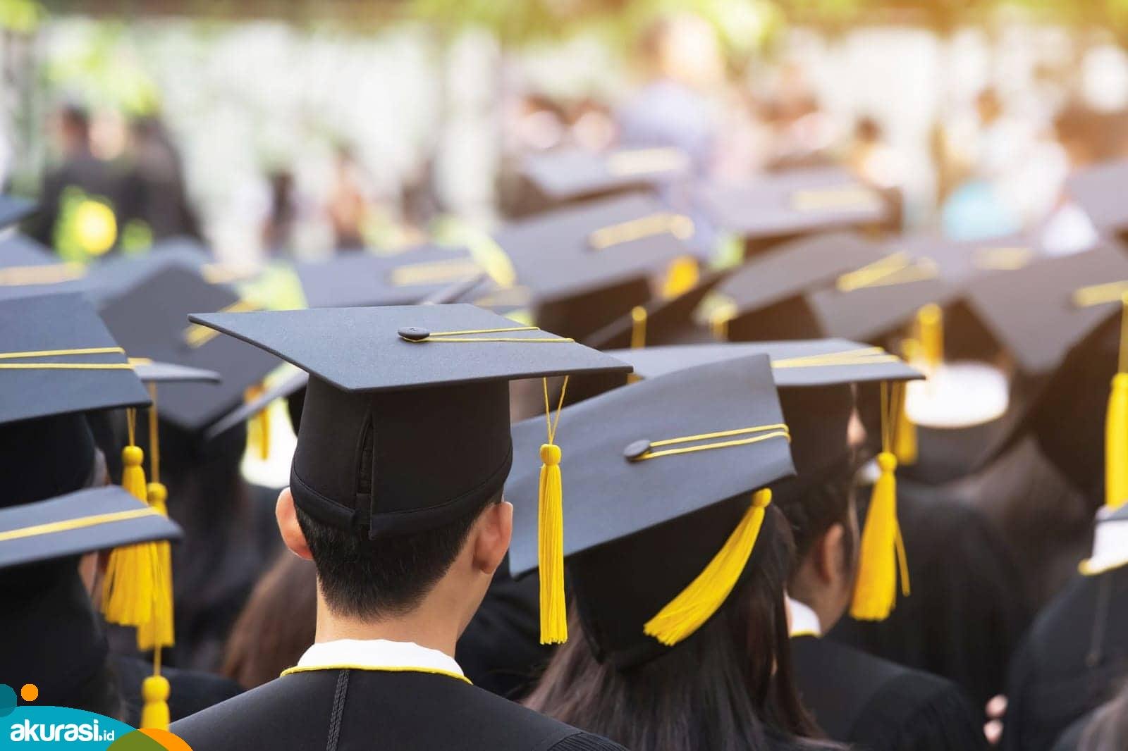 Upaya Atasi Pengangguran di PPU, Disnakertrans Siapkan Terobosan untuk Lulusan Sarjana
