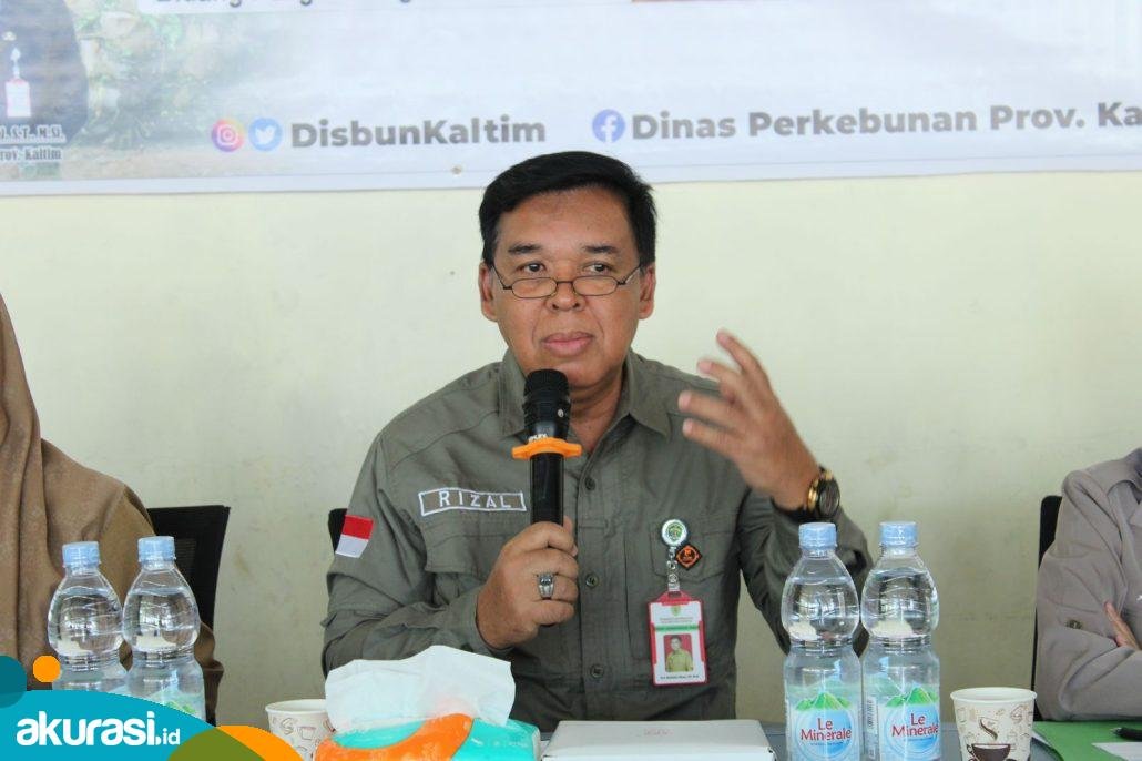 Sawit di Kaltim