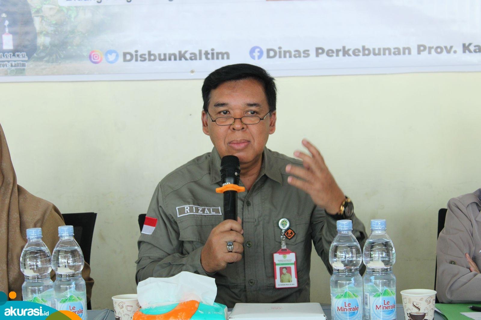 Sawit di Kaltim