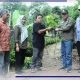 Bibit Kakao