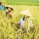 DKP PPU Fokus Jaga Ketahanan Pangan, Minta Dukungan Pusat