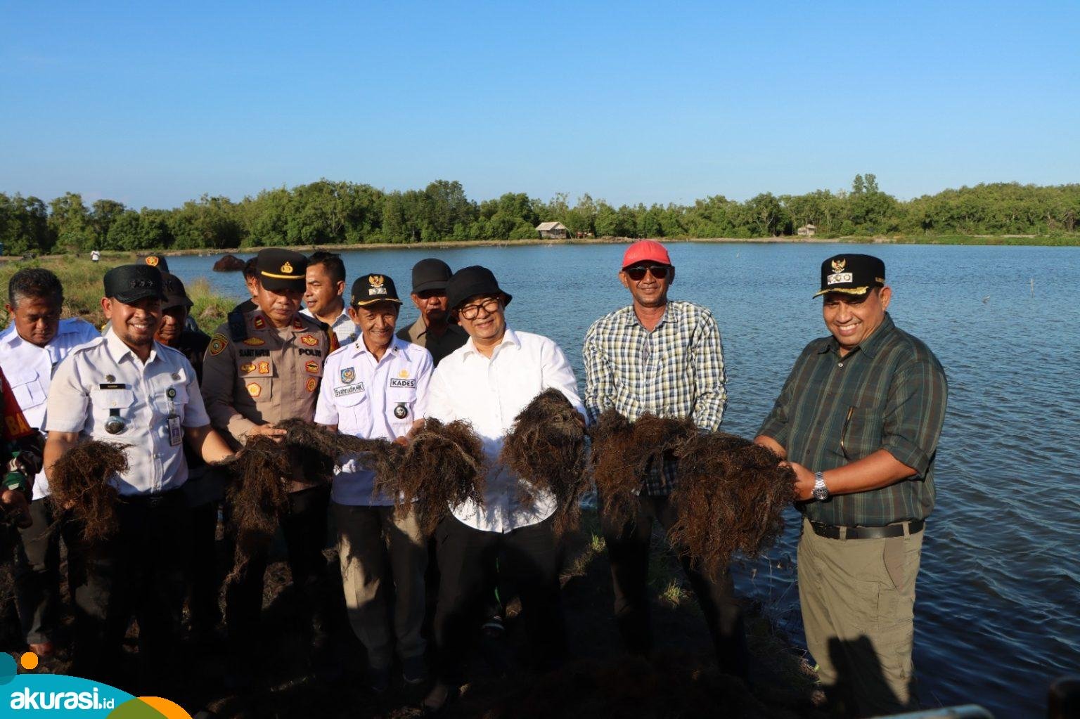 Rumput Laut di PPU