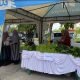 Peringati Hari Pangan Sedunia, Pemkab PPU Gelar Operasi Pasar Murah