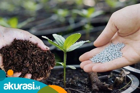 DKP PPU Edukasi Masyarakat Pentingnya Penggunaan Pupuk Organik
