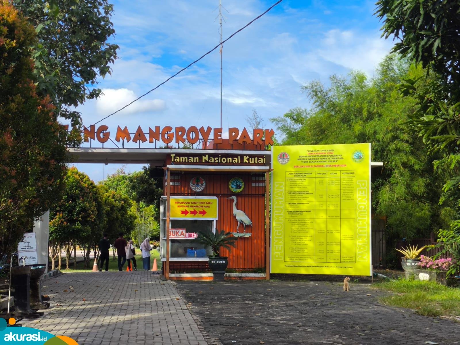 Mangrove Saleba