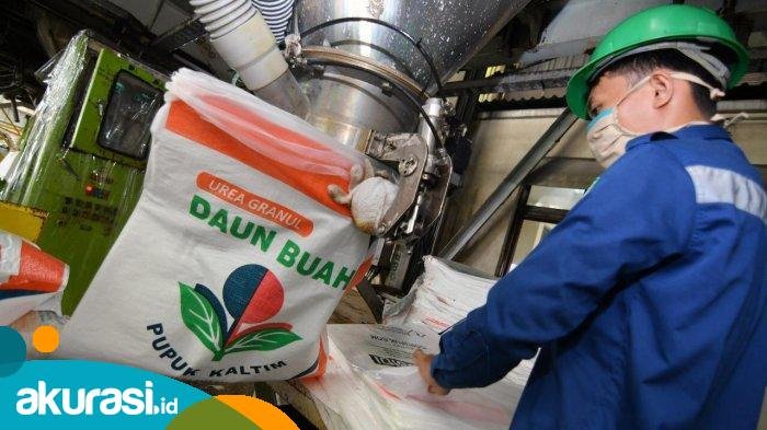 Loker PT. Daun Buah Bontang