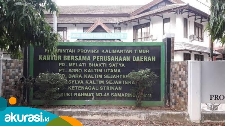 Penyertaan Modal BUMD