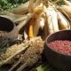 Program Makan Siang Gratis