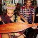 Alat Musik Tradisional Kalimantan Timur Sape