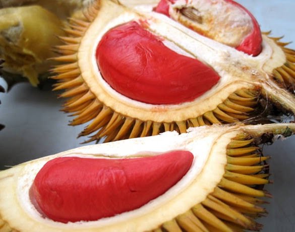 Buah Khas Kalimantan 