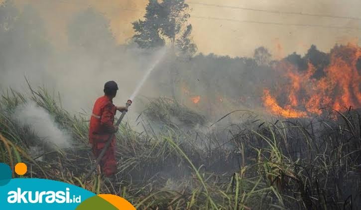 Karhutla di Bontang