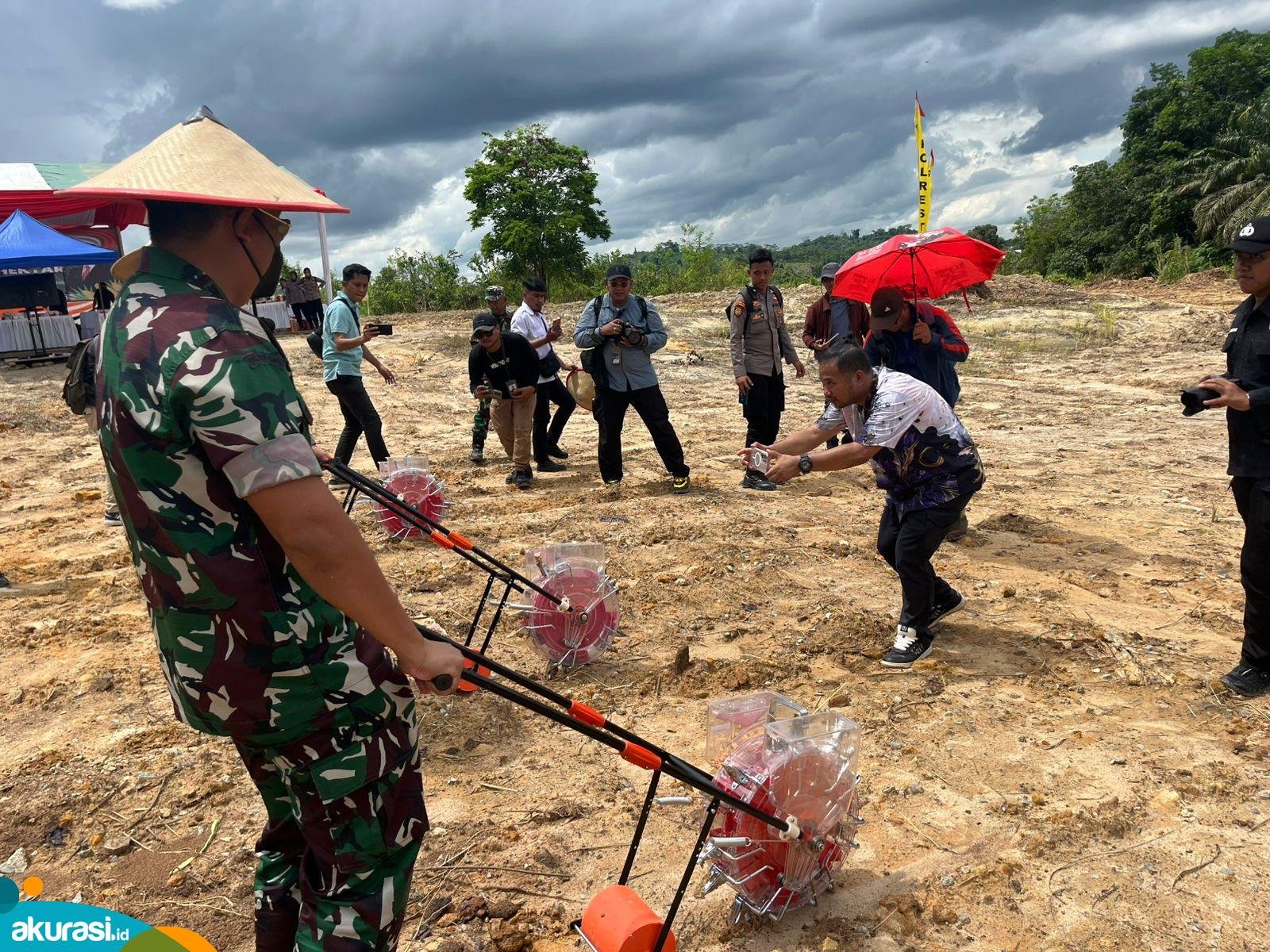 Tanam Jagung