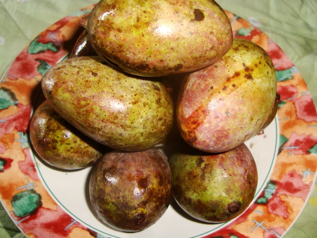 Buah Khas Kalimantan 
