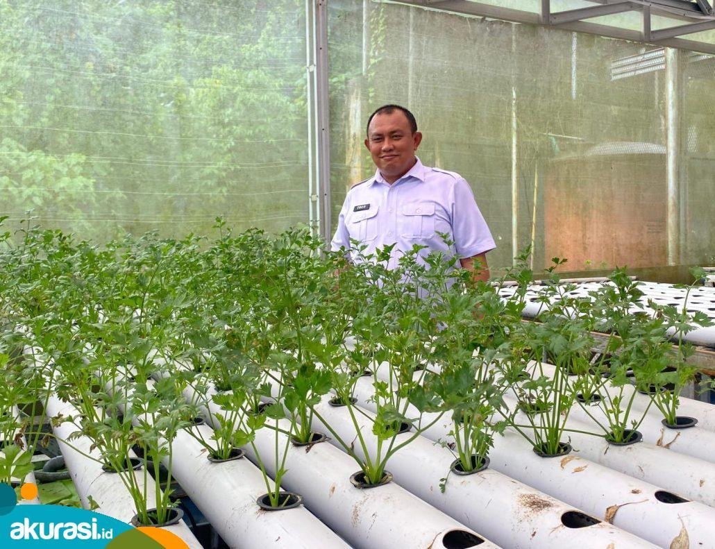 Warga Binaan Lapas Samarinda Budidaya Cabai dan Peternakan di Smart Farm