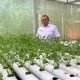 Warga Binaan Lapas Samarinda Budidaya Cabai dan Peternakan di Smart Farm