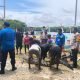Warga Heboh! Bangkai Buaya 4 Meter Ditemukan di Tanjung Limau
