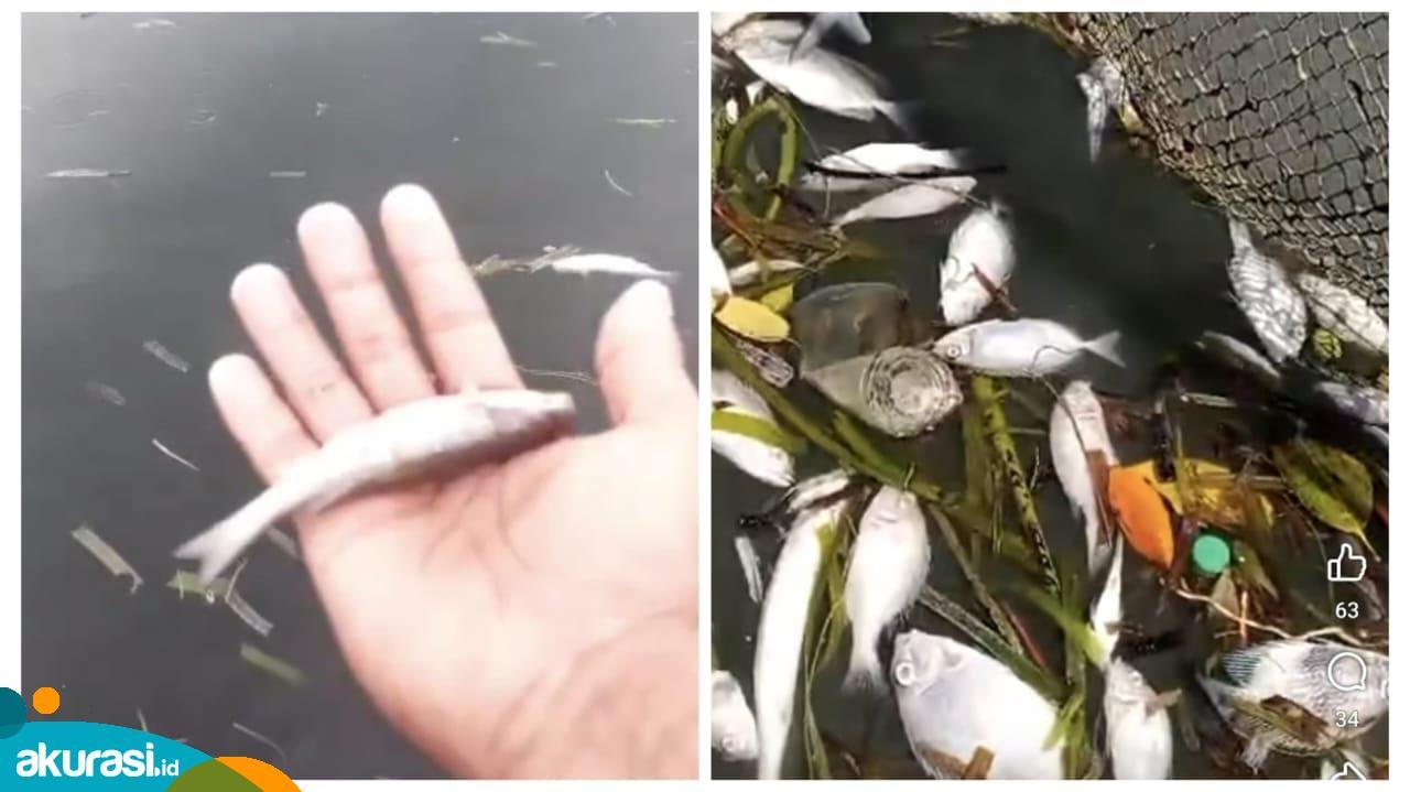 Perairan Bontang Lestari