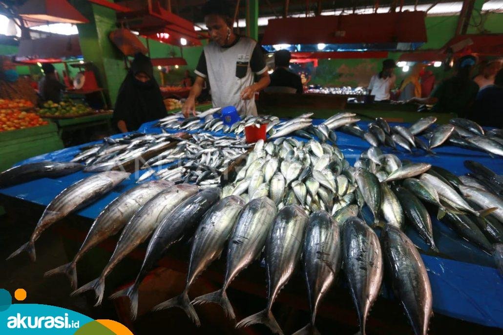 Dinas Perikanan PPU Siap Dukung Program Makan Bergizi Gratis