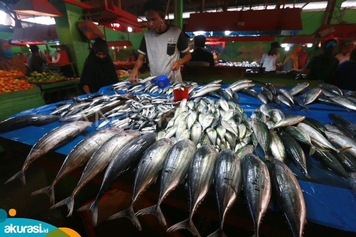 Dinas Perikanan PPU Siap Dukung Program Makan Bergizi Gratis
