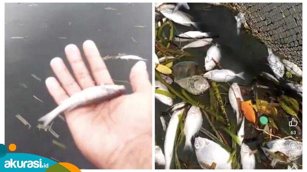 Hasil Uji Pencemaran di Bontang