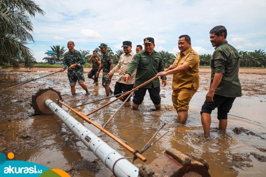 Tanam Padi Serentak