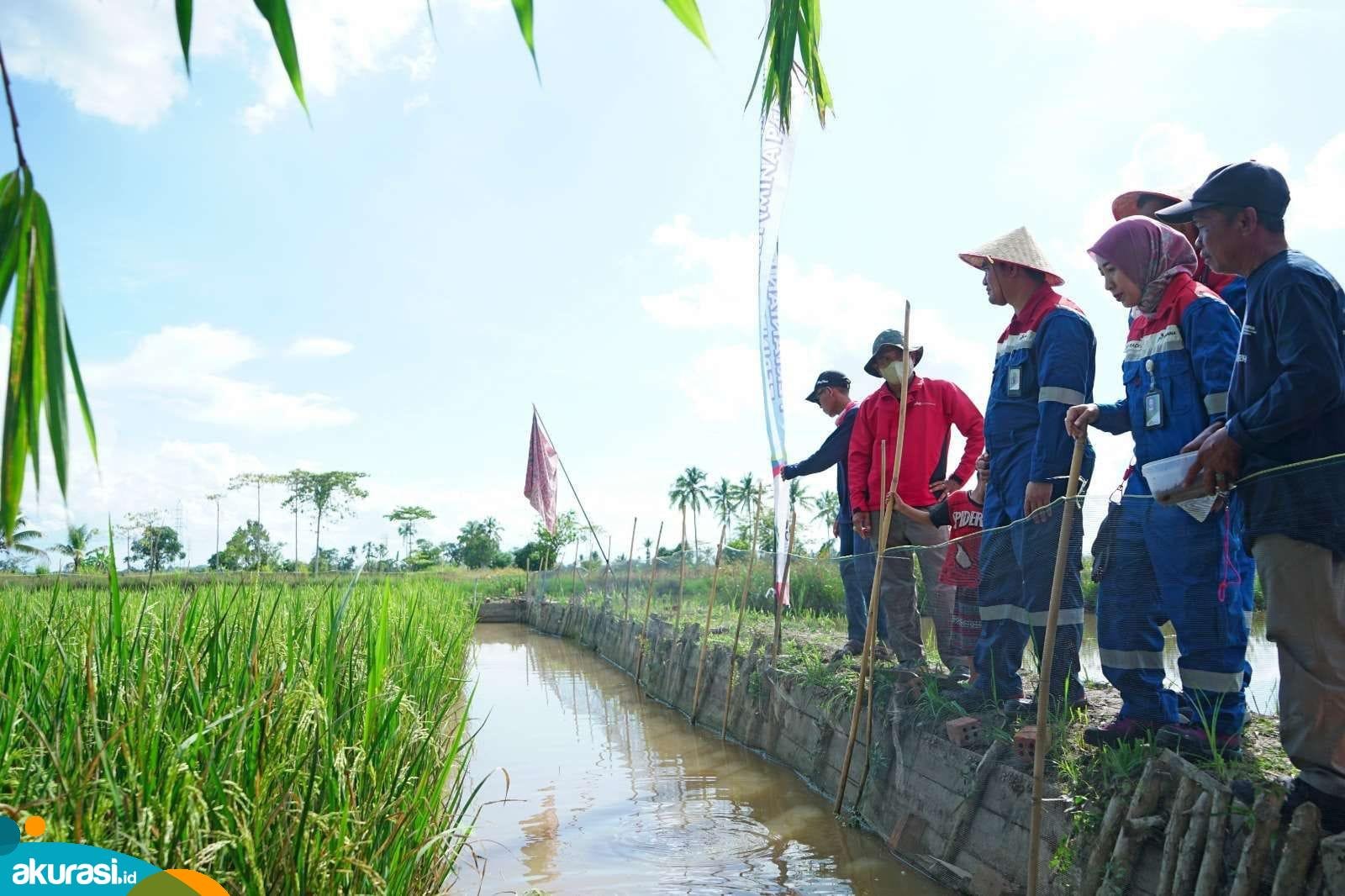 PPU Kembangkan Program Pertanian Terintegrasi untuk Dukung MBG