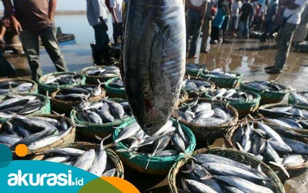 PPU Surplus 5 Ribu Ton Ikan per Tahun