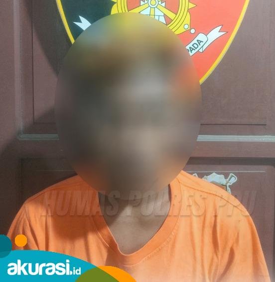 Pencuri Babulu