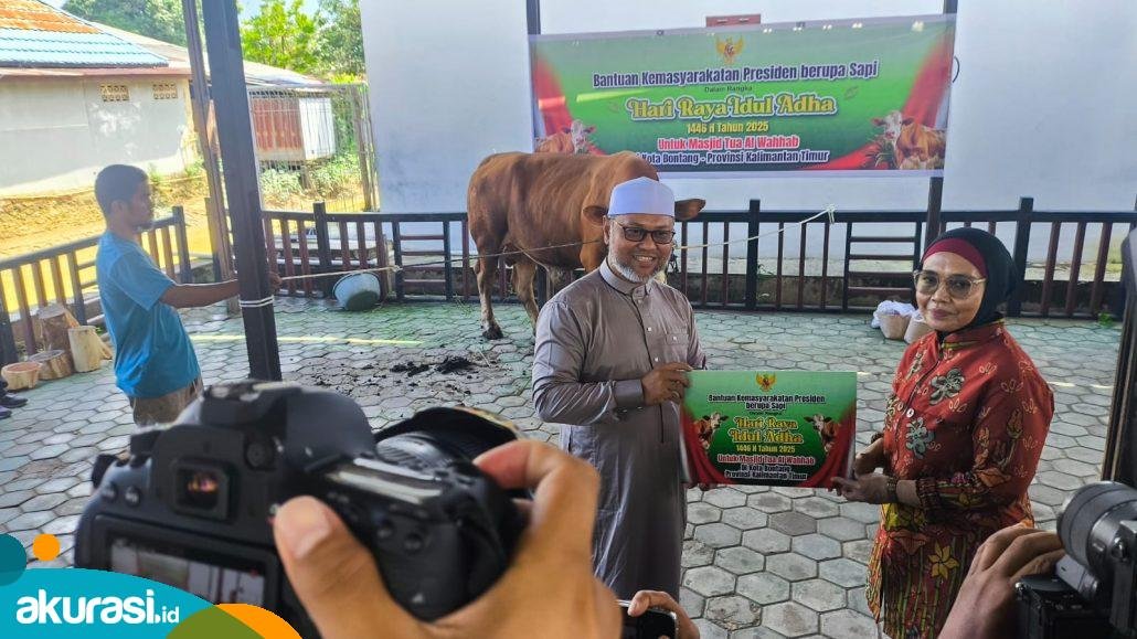 Sapi Kurban dari Presiden Prabowo