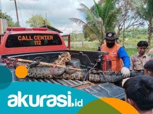 Warga di Gersik PPU Buaya