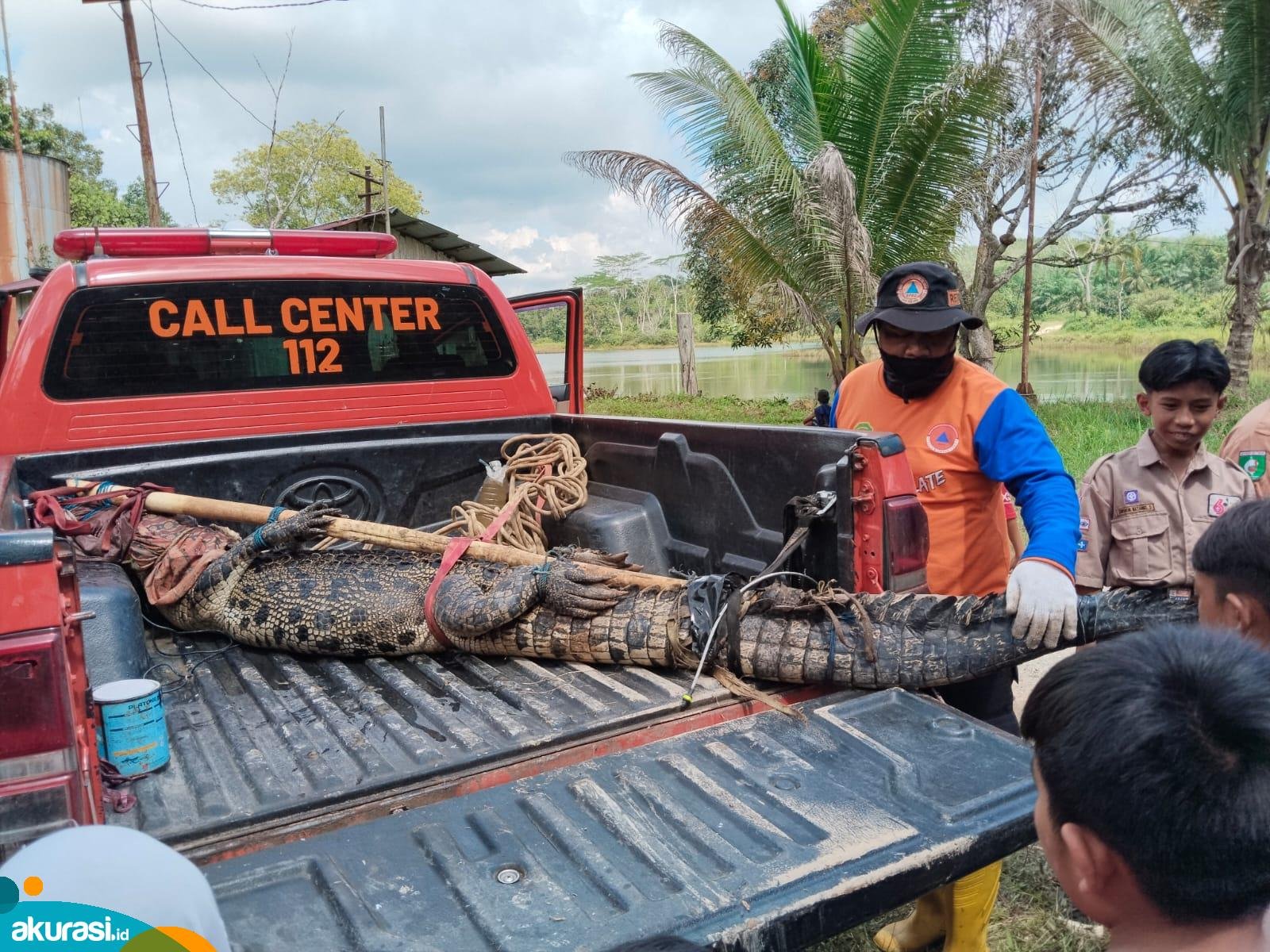Warga di Gersik PPU Buaya